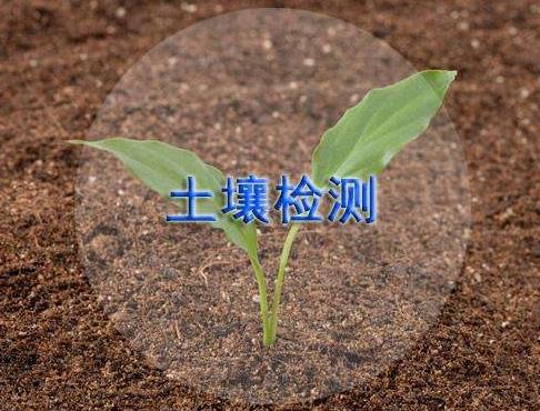法國Alliance 連續(xù)流動分析儀的應用